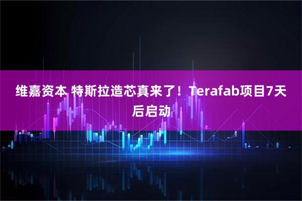 维嘉资本 特斯拉造芯真来了！Terafab项目7天后启动