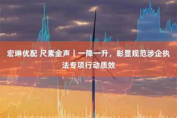 宏琳优配 尺素金声｜一降一升，彰显规范涉企执法专项行动质效