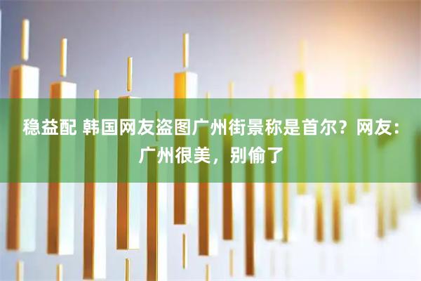 稳益配 韩国网友盗图广州街景称是首尔？网友：广州很美，别偷了