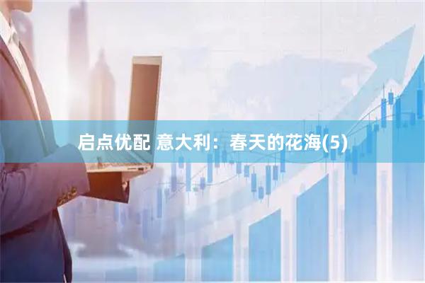 启点优配 意大利：春天的花海(5)