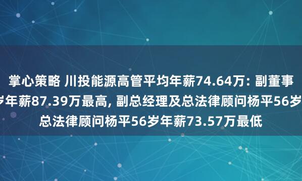 掌心策略 川投能源高管平均年薪74.64万: 副董事长及董事杨洪62岁年薪87.39万最高, 副总经理及总法律顾问杨平56岁年薪73.57万最低